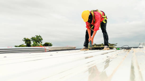 Best Rubber Roofing (EPDM, TPO)  in Leitchfield, KY