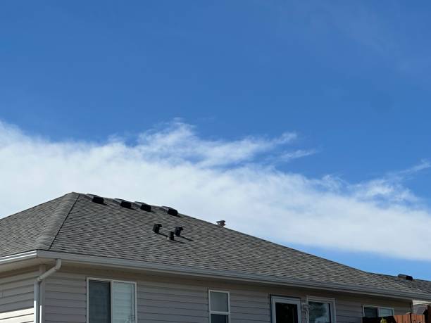Best Roof Maintenance and Cleaning  in Leitchfield, KY